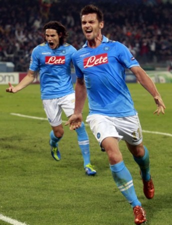 发挥不仅为 发挥不仅为